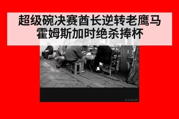超级碗决赛酋长逆转老鹰马霍姆斯加时绝杀捧杯